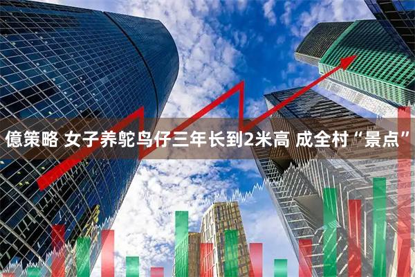 億策略 女子养鸵鸟仔三年长到2米高 成全村“景点”