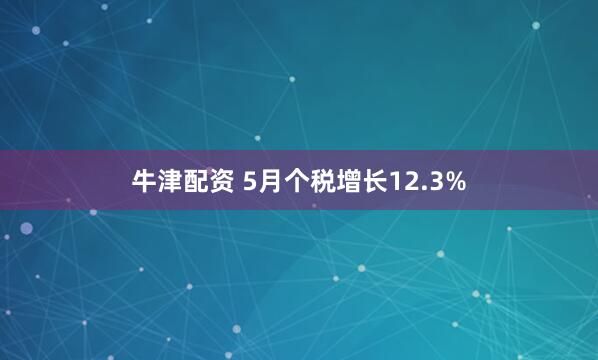 牛津配资 5月个税增长12.3%