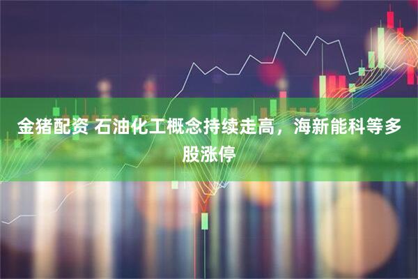 金猪配资 石油化工概念持续走高，海新能科等多股涨停